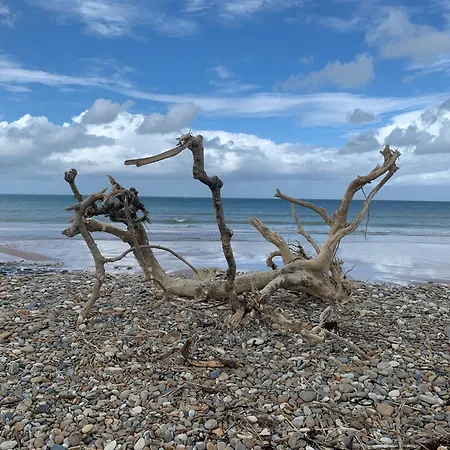 La Sapinière Hotel Saint-Laurent-sur-Mer